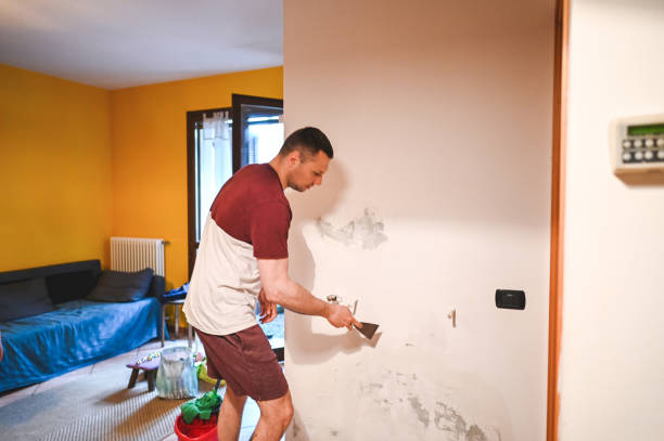 Best Black Mold Remediation in Jonesville, NC