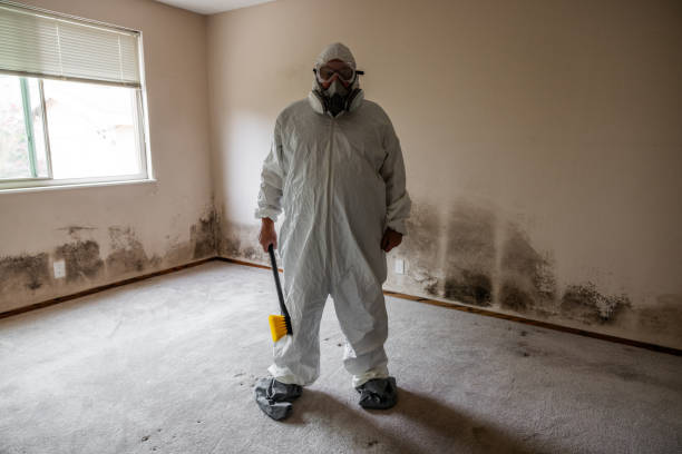 Reliable Jonesville, NC Mold Remediation Solutions